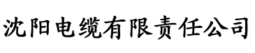 XBE影院电缆厂logo